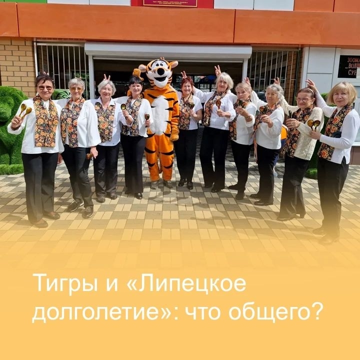 Навели шума в Липецком зоопарке «Серебряные ложкари». 